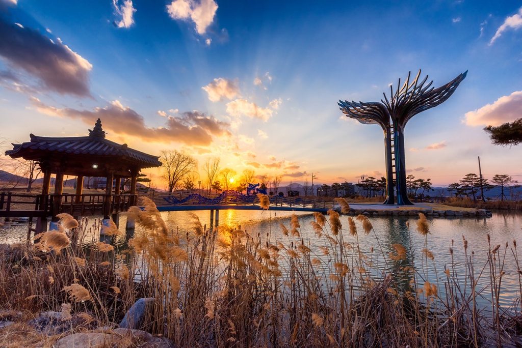 Park,Grounds,In,Daegu,City,,South,Korea.